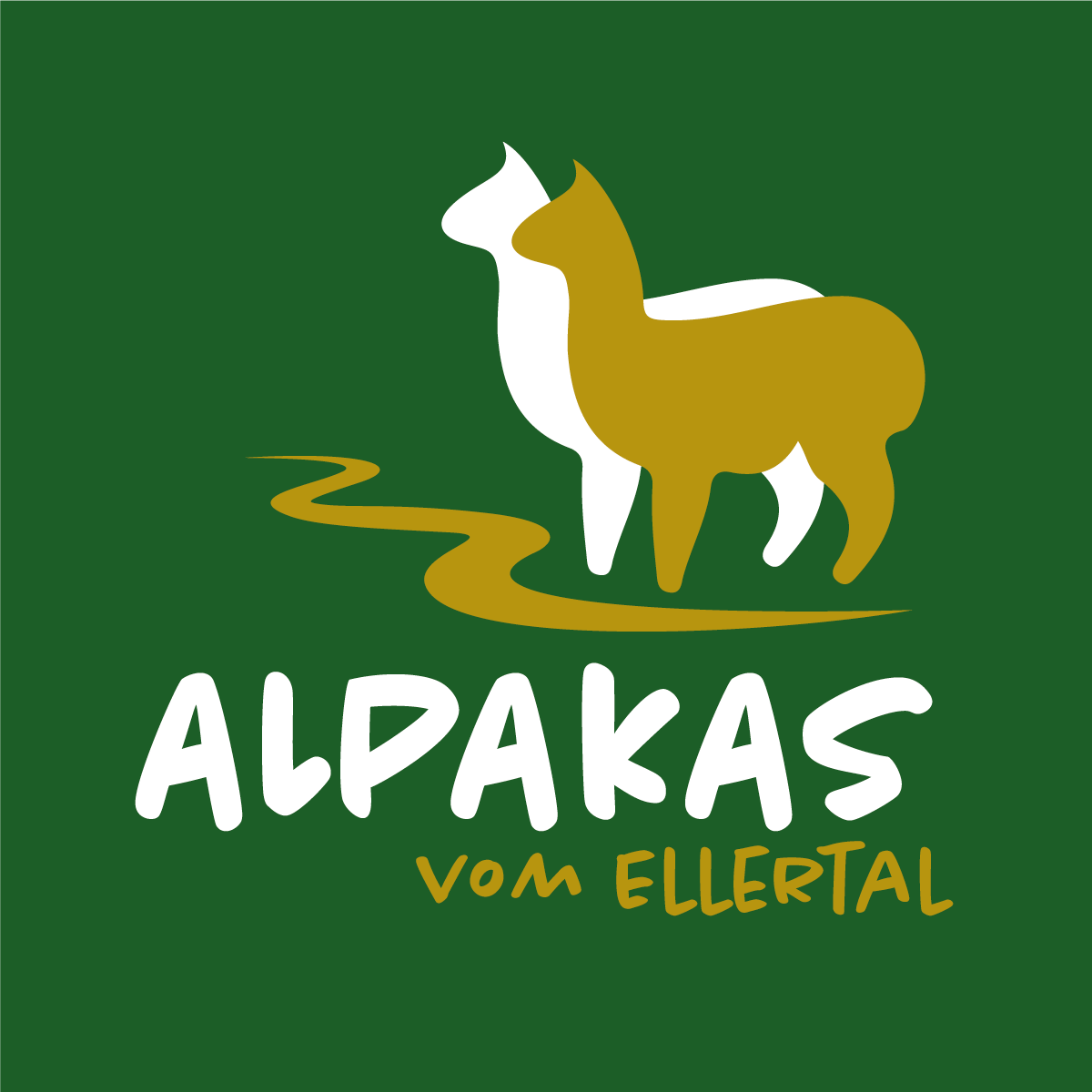 Alpakas vom Ellertal